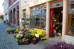 Killikus&reg; Fotographie